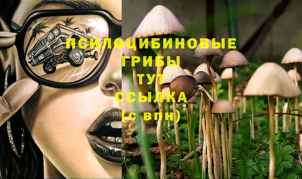 меф Нефтегорск