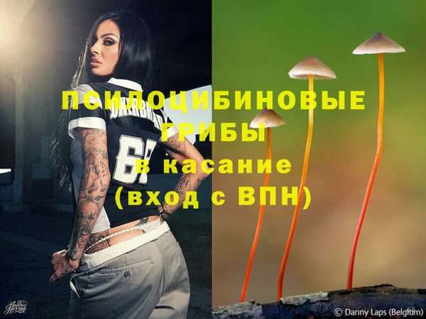 спиды Нефтекумск
