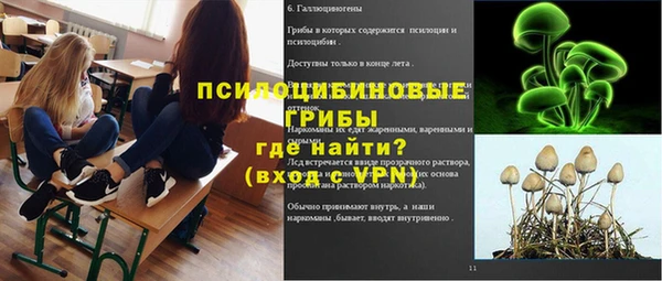 меф Нефтегорск