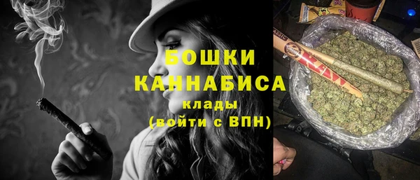 дживик Нея