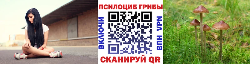 что такое   сайты даркнета какой сайт  Псилоцибиновые грибы мухоморы  Кукмор 